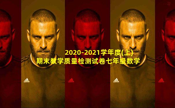 2020-2021学年度(上)期末教学质量检测试卷七年级数学