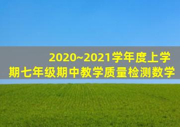 2020~2021学年度上学期七年级期中教学质量检测数学