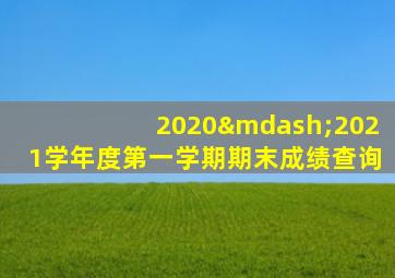 2020—2021学年度第一学期期末成绩查询