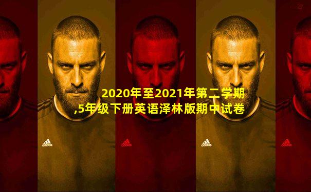 2020年至2021年第二学期,5年级下册英语泽林版期中试卷
