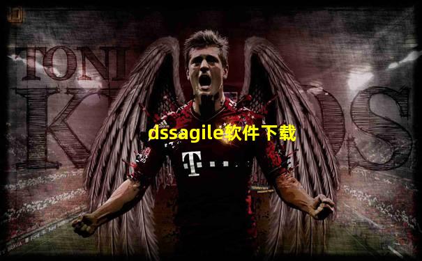 dssagile软件下载