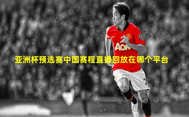 亚洲杯预选赛中国赛程直播回放在哪个平台