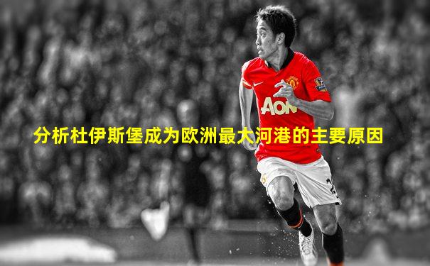 分析杜伊斯堡成为欧洲最大河港的主要原因