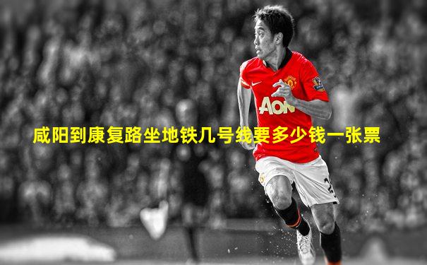 咸阳到康复路坐地铁几号线要多少钱一张票