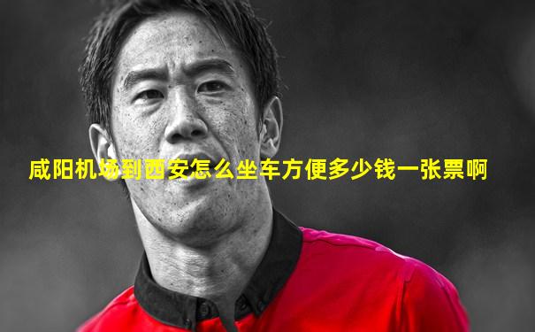 咸阳机场到西安怎么坐车方便多少钱一张票啊