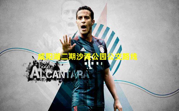 咸阳湖二期沙滩公园公交路线
