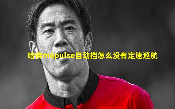 哈佛m6pulse自动挡怎么没有定速巡航