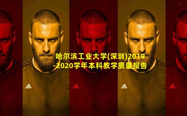 哈尔滨工业大学(深圳)2019-2020学年本科教学质量报告