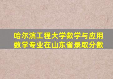哈尔滨工程大学数学与应用数学专业在山东省录取分数