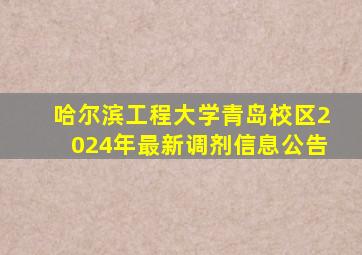 哈尔滨工程大学青岛校区2024年最新调剂信息公告