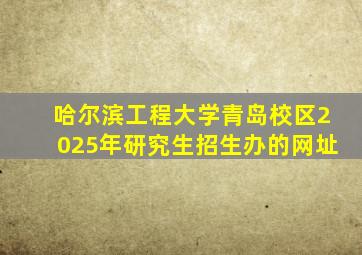 哈尔滨工程大学青岛校区2025年研究生招生办的网址