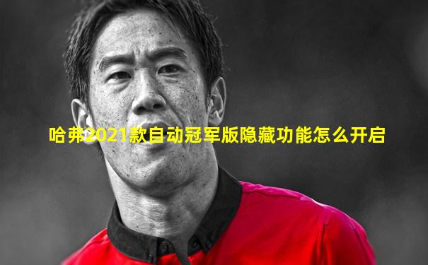 哈弗2021款自动冠军版隐藏功能怎么开启