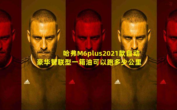 哈弗M6plus2021款自动豪华智联型一箱油可以跑多少公里