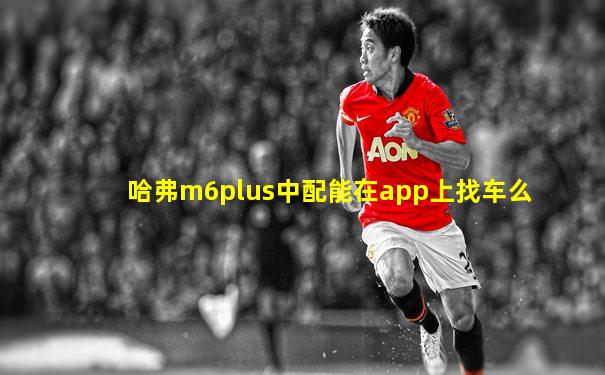 哈弗m6plus中配能在app上找车么