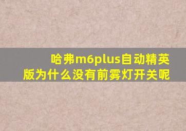 哈弗m6plus自动精英版为什么没有前雾灯开关呢