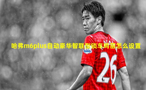 哈弗m6plus自动豪华智联型锁车鸣笛怎么设置