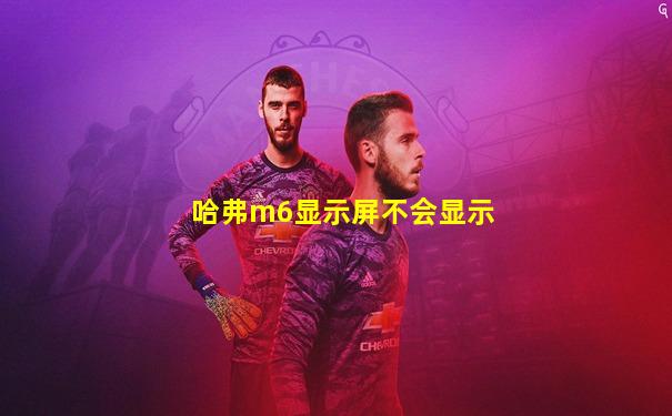 哈弗m6显示屏不会显示