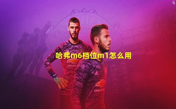 哈弗m6档位m1怎么用