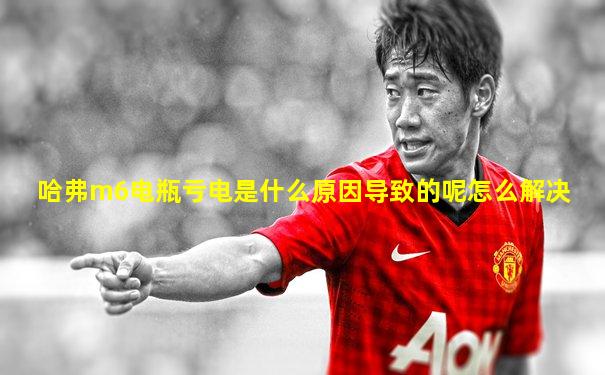 哈弗m6电瓶亏电是什么原因导致的呢怎么解决