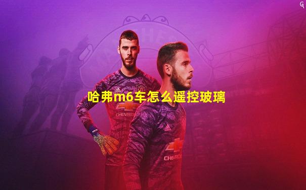 哈弗m6车怎么遥控玻璃