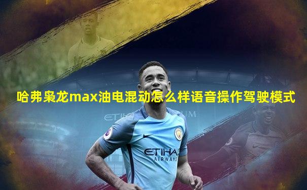 哈弗枭龙max油电混动怎么样语音操作驾驶模式