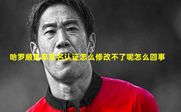 哈罗顺风车实名认证怎么修改不了呢怎么回事
