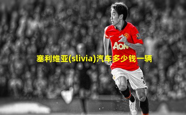 塞利维亚(slivia)汽车多少钱一辆