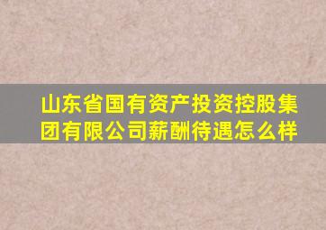 山东省国有资产投资控股集团有限公司薪酬待遇怎么样