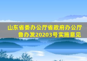 山东省委办公厅省政府办公厅鲁办发20203号实施意见