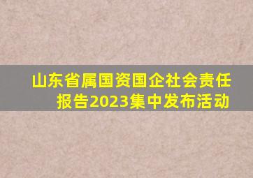 山东省属国资国企社会责任报告2023集中发布活动