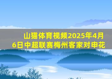 山猫体育视频2025年4月6日中超联赛梅州客家对申花