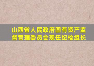 山西省人民政府国有资产监督管理委员会现任纪检组长