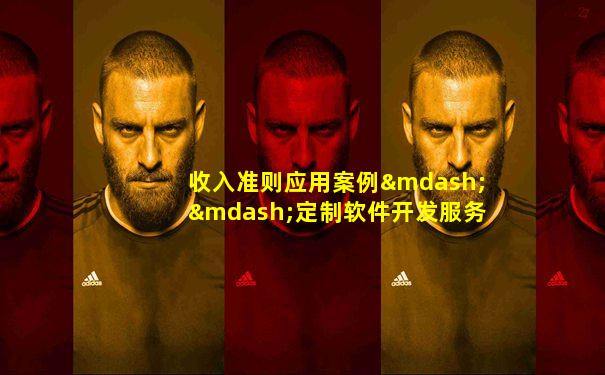 收入准则应用案例——定制软件开发服务的收入确认