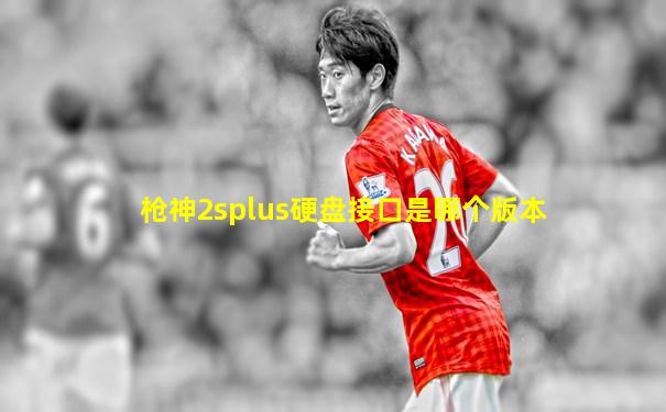 枪神2splus硬盘接口是哪个版本