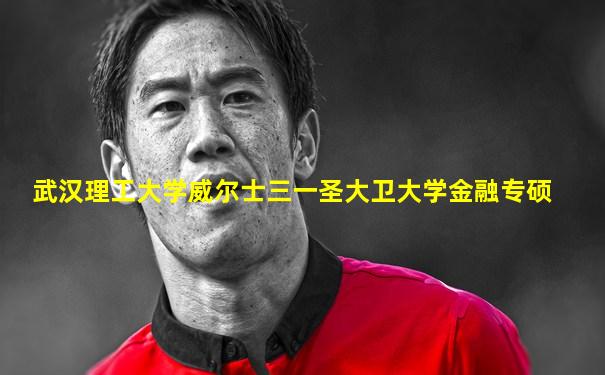 武汉理工大学威尔士三一圣大卫大学金融专硕