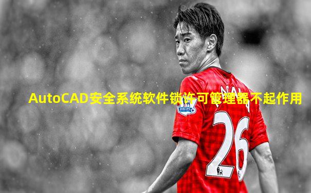 AutoCAD安全系统软件锁许可管理器不起作用