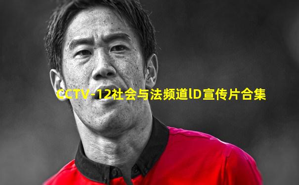 CCTV-12社会与法频道lD宣传片合集