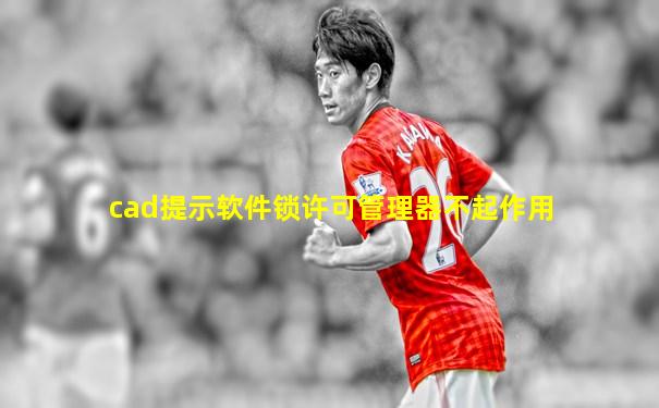 cad提示软件锁许可管理器不起作用