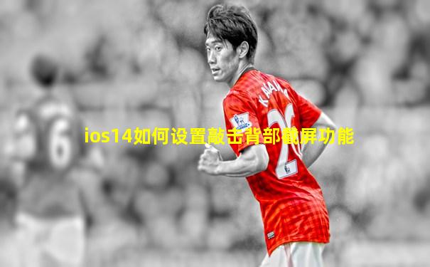 ios14如何设置敲击背部截屏功能