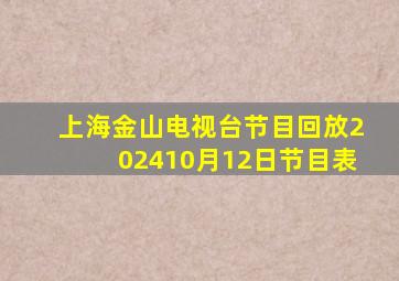 上海金山电视台节目回放202410月12日节目表