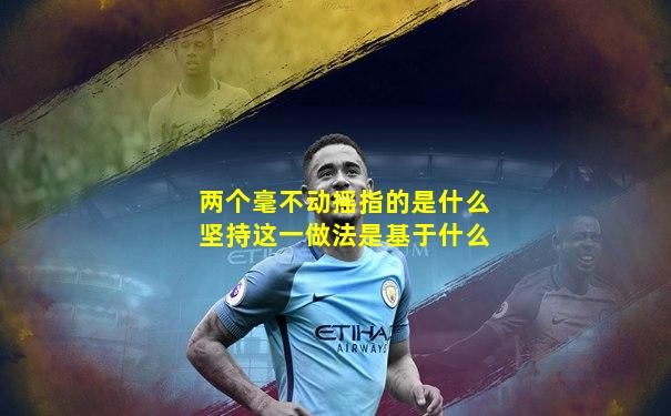 两个毫不动摇指的是什么坚持这一做法是基于什么