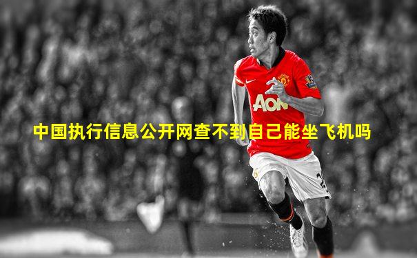 中国执行信息公开网查不到自己能坐飞机吗