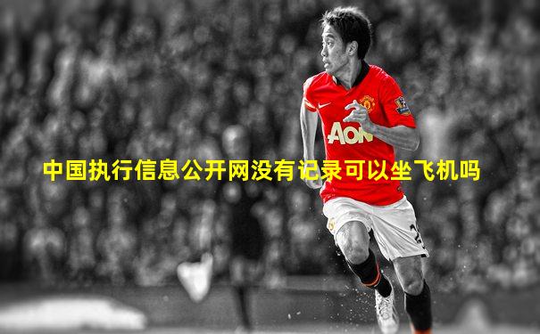 中国执行信息公开网没有记录可以坐飞机吗