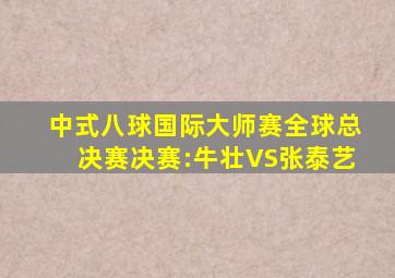 中式八球国际大师赛全球总决赛决赛:牛壮VS张泰艺