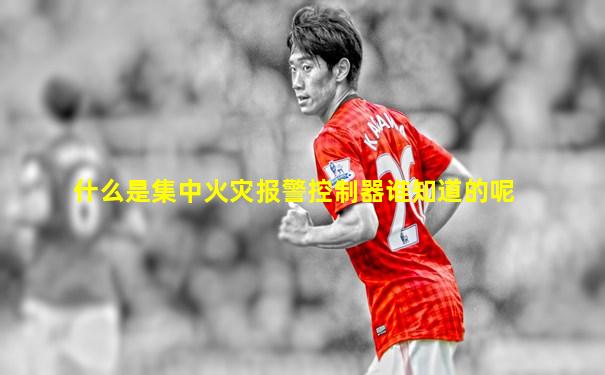 什么是集中火灾报警控制器谁知道的呢