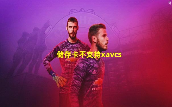 储存卡不支持xavcs