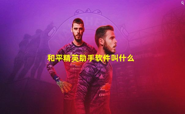 和平精英助手软件叫什么
