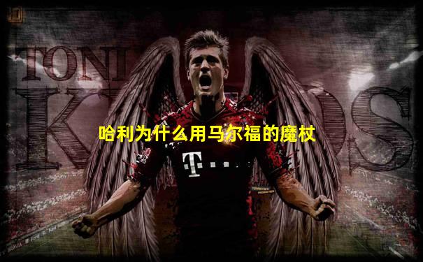 哈利为什么用马尔福的魔杖