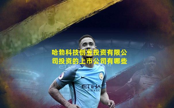 哈勃科技创业投资有限公司投资的上市公司有哪些