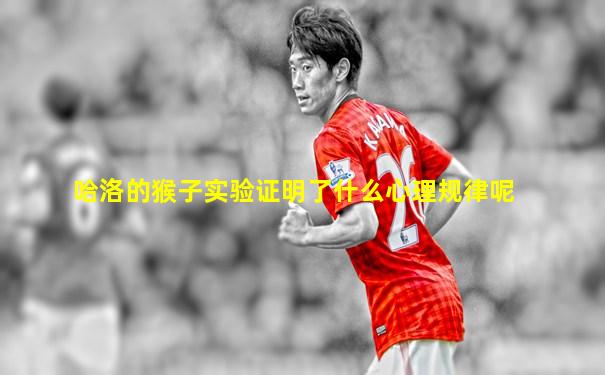哈洛的猴子实验证明了什么心理规律呢
